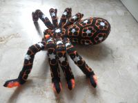 0151-300920AfrikanflowerTarantula03links